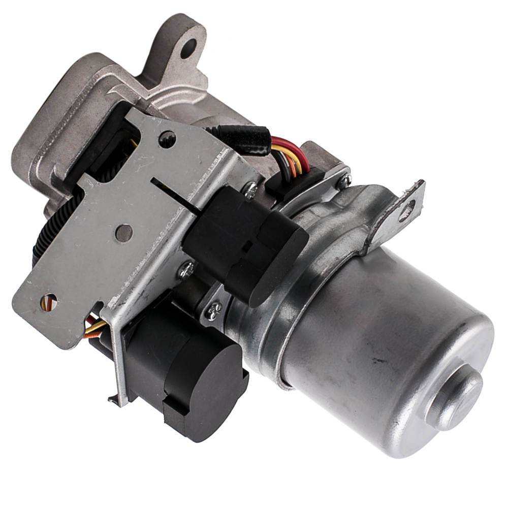Differential & transfer case