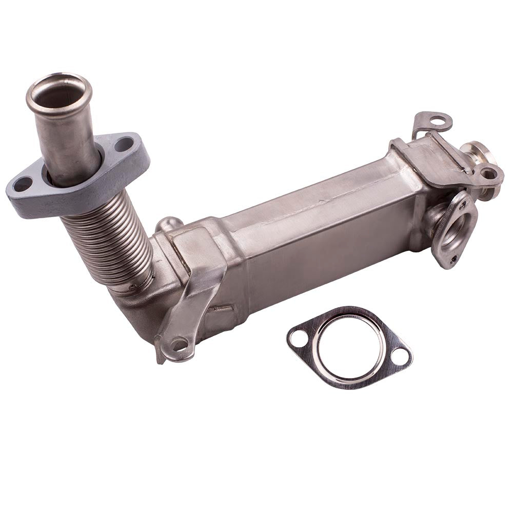 EGR valves geschikt voor BMW 3 Serie E46/E90/E93, 5 Serie E60, 6 Serie E63, X3 E83, X5 E70, X6 E71/E72