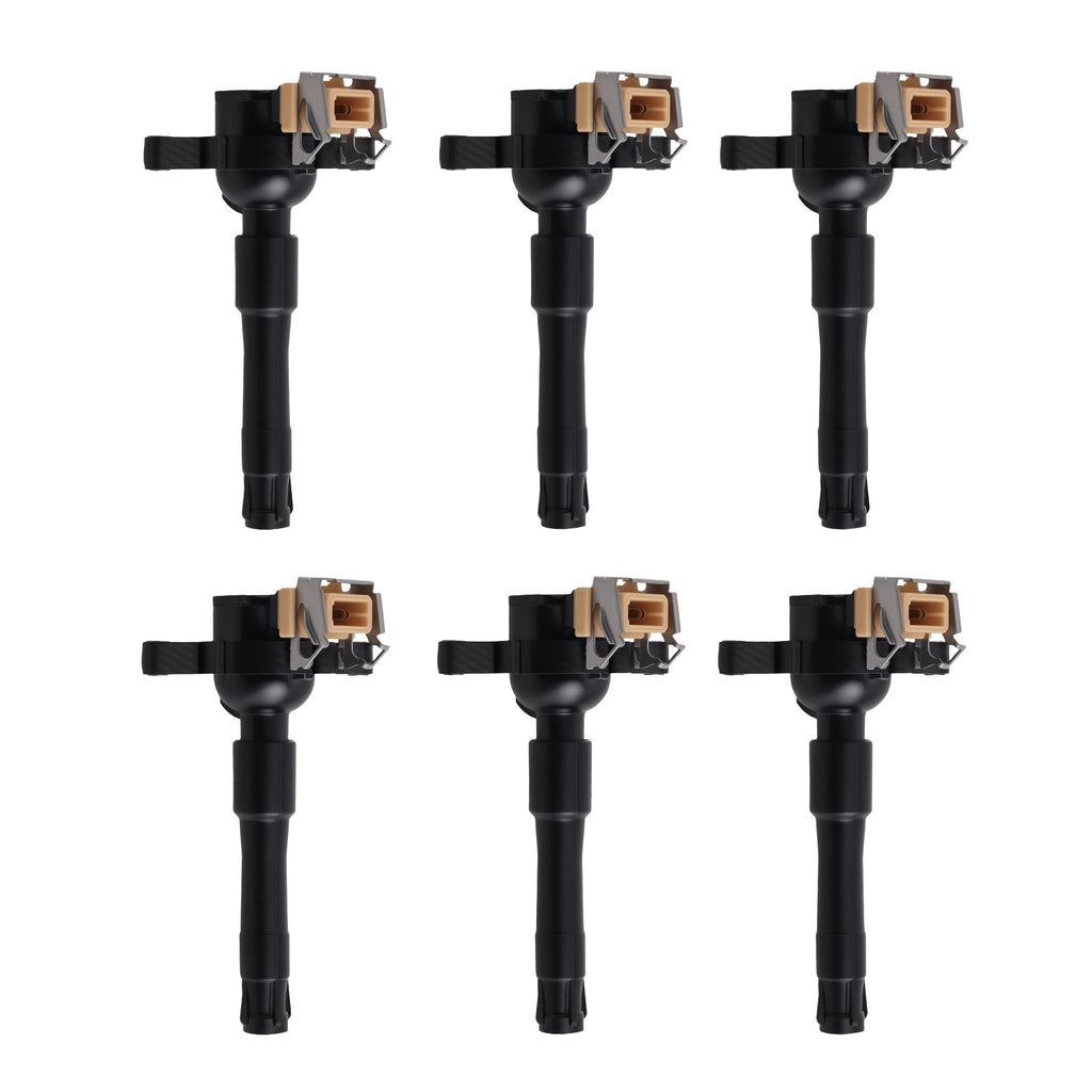 6x Ignition Coil Pack geschikt voor BMW e36 323i 2.5 328i 193 231 170 CV 320i 12131748018
