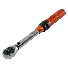 Load image into Gallery viewer, Torque Wrench 1/4 2-20Nm 72 Teeth Alloy for Bicycle Vehicles