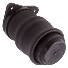 Load image into Gallery viewer, Geschikt voor Mercedes W638 V Class Vito Ride Suspension Air Spring Bag Rear Left or Right
