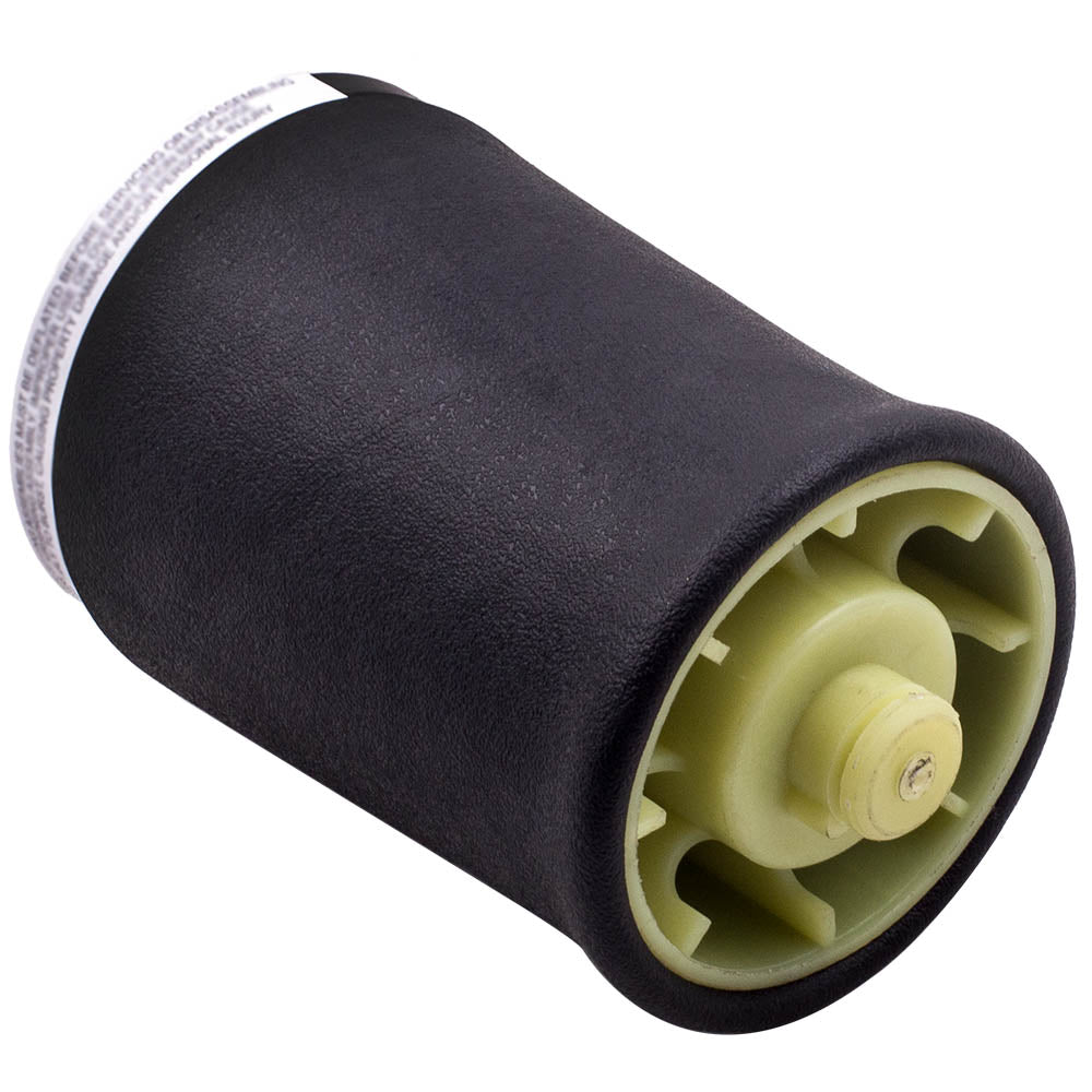 Arrière Gauche Suspension pneumatique compatible for BMW E53 X5 1.6 1.8 3.0 37121095579