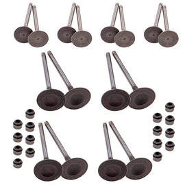 Compatible with Audi A4 A5 Q3 TT 2.0T 2.0L 6MM Exhaust/Intake Valve Valves 06D109611